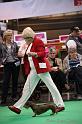 Crufts2011_2 1588